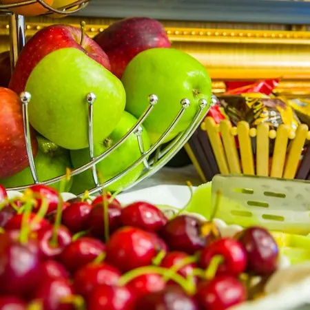 酒店 埃勒酒店 地拉那