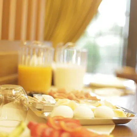 Hotel Eler 4*